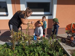 IMG 20220906 102233