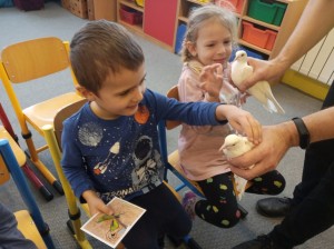 IMG 20230126 095816