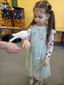 IMG 20230126 100350