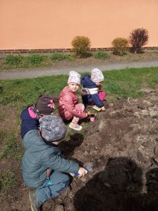 IMG 20230427 102355