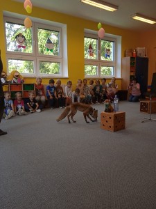 IMG 20230613 101513