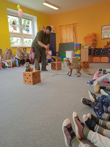 IMG 20230613 101719 1