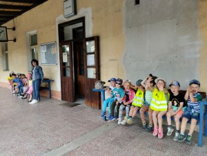 IMG 20230629 110719